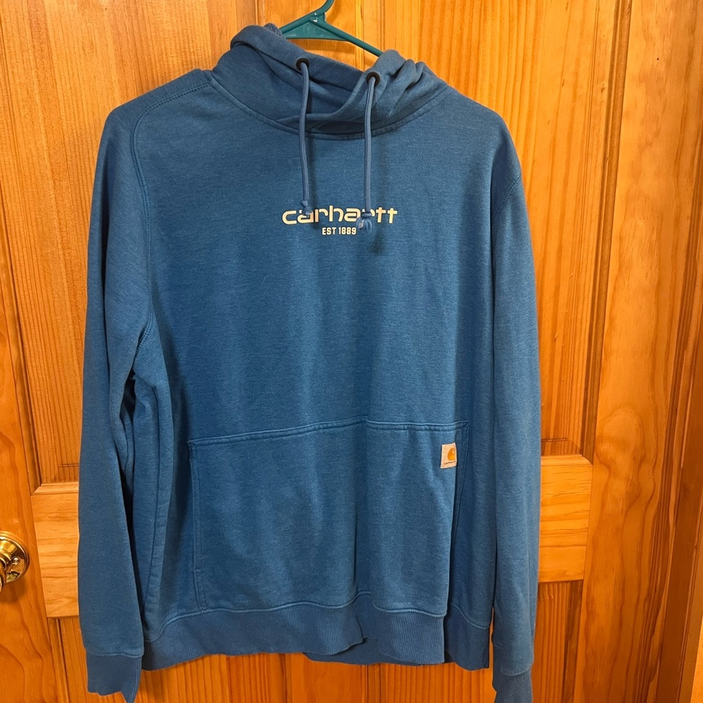 Carhartt Men's Teal Hoodie